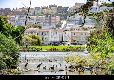 Blick über den See im Palace of Fine Arts in San Francisco, Kalifornien, USA Stockfoto