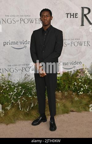 London, Großbritannien - 30. August 2022 Damson Idris beim Herrn der Ringe, der Weltpremiere der Ringe der Macht in Odeon, Leicester Square, London. Quelle: Nils Jorgensen/Alamy Live News Stockfoto