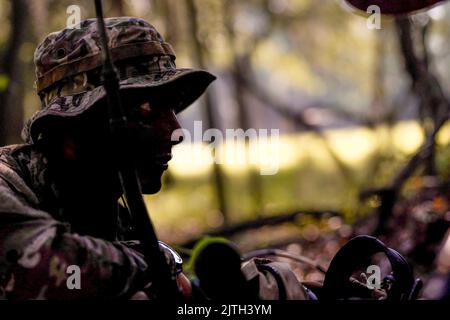 Fort Stewart, Georgia, USA. 16. August 2022. Senior Airman Chase Montgomery, 15. Air Support Operations Squadron Tactical Air Control Party Precision Strike Team Member, untersucht die Wälder in Fort Stewart, Georgia, 16. August 2022. Die 15. ASOS führte Aufklärungs- und Evasion-Schulungen durch. Die 15. ASOS führten Geheimdienst-, Überwachungs- und Aufklärungsschulungen durch, um die Kommandos- und Kontrollfähigkeiten zu schärfen. TACP Precision Strike Teams versammeln sich, um intel an den Combined Force Air Component Commander weiterzuleiten, damit fundierte Entscheidungen über den Luftangriff getroffen werden können. (Bild: © U.S. Air for Stockfoto