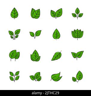 Grüne Blätter umreißen lineare Symbole, Baumpflanzen oder Naturblätter, Vektor-Öko- oder Bio-Symbole. Grüne Blatt dünne Linie Symbole der Umwelt Ökologie und Landwirtschaft oder Gartenarbeit, Bio-Kräuter-und vegetarische Zeichen Stock Vektor