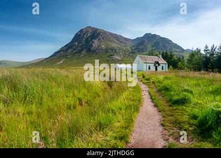 Die ikonische kleine weiße Hütte liegt im Tal unter dem Berg Buachaille Etive Mòr, Glencoe, umgeben von einem kleinen Tannenbaum. Stockfoto