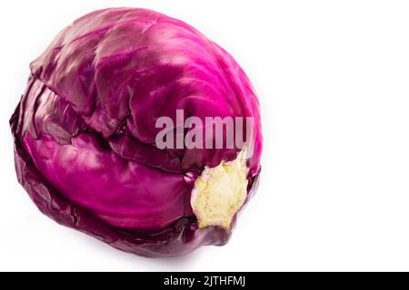 Frischer, ganzer, saftiger Rotkohl auf weißem Hintergrund mit Platz für Text oder Werbung.gesundes Essen. Veganismus oder gesundes Essen concept.selective Stockfoto