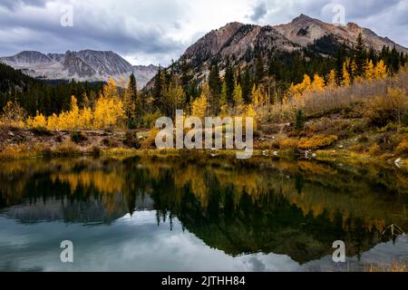 Eine Luftaufnahme des Sees, der von Herbstbäumen und Bergen umgeben ist, im Yellowstone National Park Stockfoto