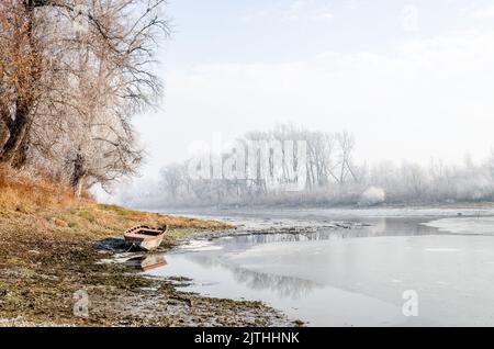 Donauinsel Sodros bei Novi Sad, Serbien. Landschaft mit schneebedeckten Bäumen und gefrorenem Wasser. Stockfoto