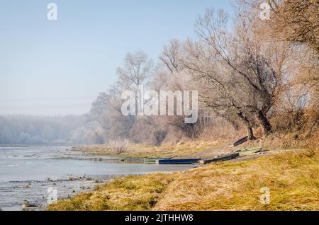 Donauinsel Sodros bei Novi Sad, Serbien. Landschaft mit schneebedeckten Bäumen und gefrorenem Wasser. Stockfoto