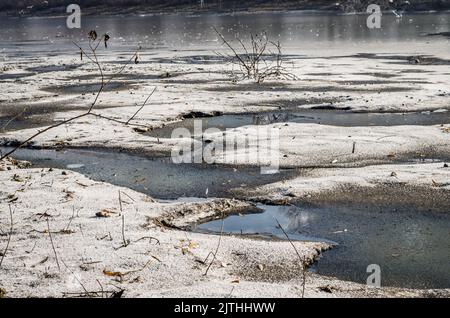 Donauinsel Sodros bei Novi Sad, Serbien. Landschaft mit schneebedeckten Bäumen und gefrorenem Wasser. Stockfoto