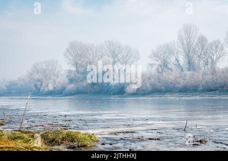 Donauinsel Sodros bei Novi Sad, Serbien. Landschaft mit schneebedeckten Bäumen und gefrorenem Wasser. Stockfoto