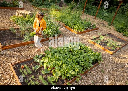 Frau zu Hause Gemüsegarten Stockfoto