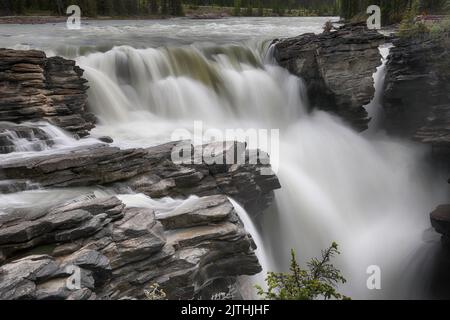 Athabasca Falls, Jasper Nationalpark, Alberta, Kanada Stockfoto