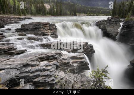 Athabasca Falls, Jasper Nationalpark, Alberta, Kanada Stockfoto