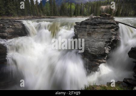 Athabasca Falls, Jasper Nationalpark, Alberta, Kanada Stockfoto