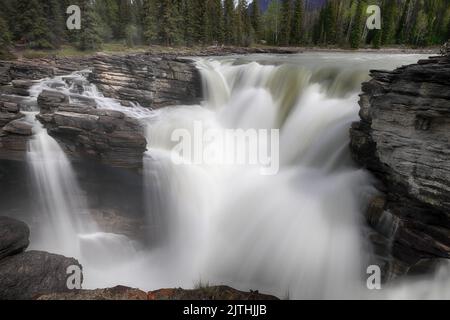 Athabasca Falls, Jasper Nationalpark, Alberta, Kanada Stockfoto