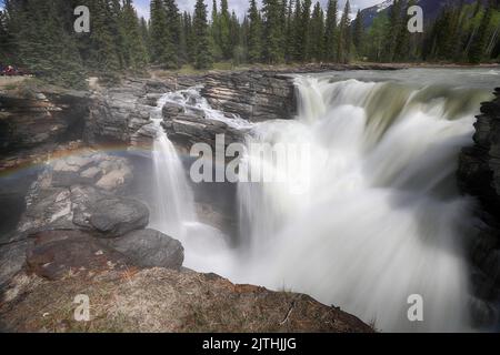 Athabasca Falls, Jasper Nationalpark, Alberta, Kanada Stockfoto