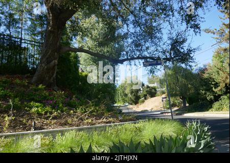 Encino California, USA 27.. August 2022 Mooncrest Drive am 27. August 2022 in Encino, Kalifornien, USA. Foto von Barry King/Alamy Stockfoto Stockfoto