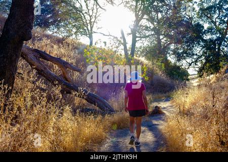 Eine Dame spaziert auf einem Feldweg mit Bäumen und trockenem Laub im Shell Ridge Nature Reserve, Walnut Creek, Kalifornien. Stockfoto