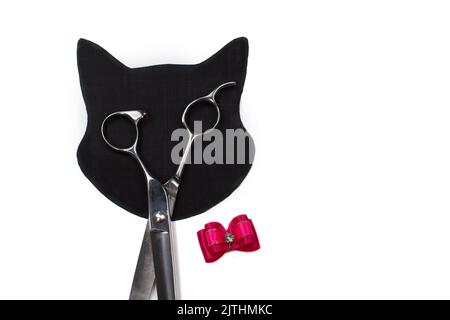 Set aus verschiedenen Kämmen und Bürsten zum Pflegen von Haustieren auf weißem Hintergrund mit Schattenspiegelung. Eine kreative Katzenfigur aus Pflegewerkzeugen. Stockfoto