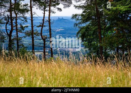 Fernansicht der Ruine der mittelalterlichen Burg Trosky am Horizont, Blick durch die Bäume von der Bergwiese auf dem Hügel Varta. Tschechische Paradies, Tschechische republik. Stockfoto