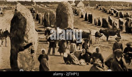 1916 - Ein Schnappschuß-Foto, das Bauern zeigt, die ihre Rinder um die über 10.000 neolithischen stehenden Steine in Carnac, Frankreich, grasen. ----- Une photographie instantanée montrant des paysans faisant paître leur bétail autour des menhirs à Carnac, en France. Stockfoto