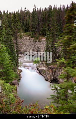 Wunderschöner Fluss im Japer National Park Stockfoto