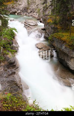 Wunderschöner Fluss im Japer National Park Stockfoto