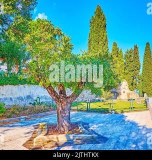 Die üppigen grünen Bäume an der Stelle des alten Klosters San Salvatore, in der Altstadt von Sirmione, Italien Stockfoto