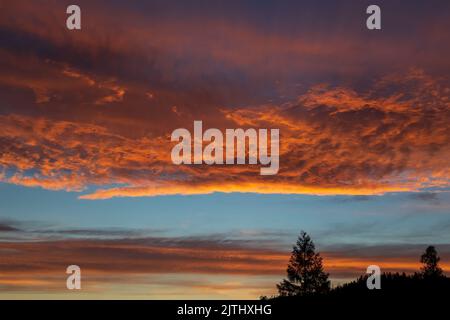 Abendlandschaft mit einem dramatischen Sonnenuntergang und silhouettierten Bäumen am Himmel Stockfoto
