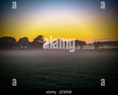 Nebel auf Feldern mit Bäumen während des Sonnenuntergangs in Nordirland, Großbritannien Stockfoto