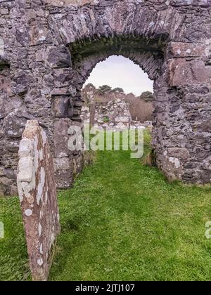 Ruinen alter Kirchengebäude auf dem Friedhof von Loughinisland, County Down, Nordirland. Stockfoto