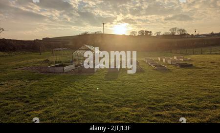 Hochbeete und ein Gewächshaus, mit einem neu gepflanzten Obstgarten dahinter, in einem Feld für den Anbau von Gemüse zur Selbstversorgung. Stockfoto