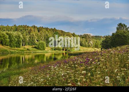 Helle Sommerlandschaft. Der Fluss fließt zwischen den blühenden Ufern. Stockfoto