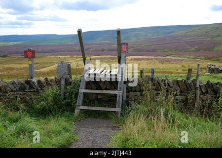 Holzstile über Moorland Trockensteinmauer mit Heidekraut Moore im Hintergrund Stockfoto