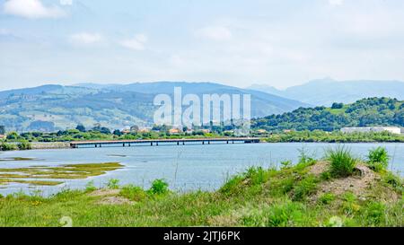 Naturpark der Sümpfe von Santoña, Kantabrien, Spanien, Europ Stockfoto