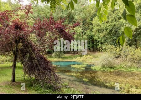 Quelle des ebro in nordspanien Stockfoto