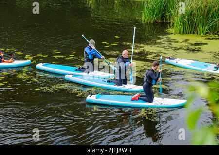 Paddelfahrer auf einem Fluss lernen, wie man das Paddleboard benutzt. Stockfoto