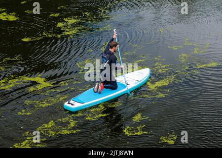 Paddelboarder auf einem Fluss. Stockfoto