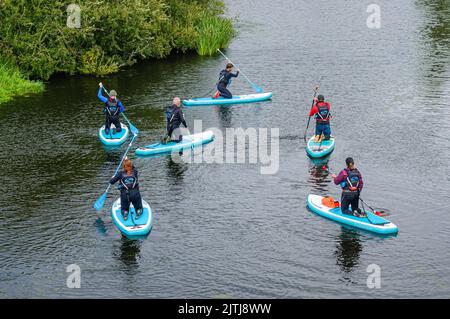 Paddelboarder auf einem Fluss. Stockfoto