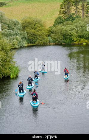 Paddelboarder auf einem Fluss. Stockfoto