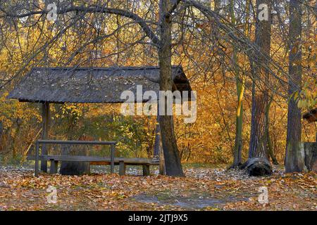 Hölzerne Pavillon Haus in einer Waldlichtung für Erholung Camping. Stockfoto