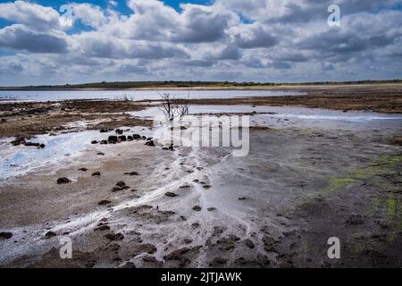 Das schlammige Seenbett wurde durch schwere Dürrebedingungen am Colliford Lake Reservoir auf Bodmin Moor in Cornwall in Großbritannien ausgesetzt. Stockfoto