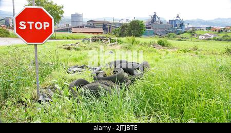 Alte verlassene Reifen auf einer Wiese im Fürstentum Asturien, Spanien, Europa Stockfoto