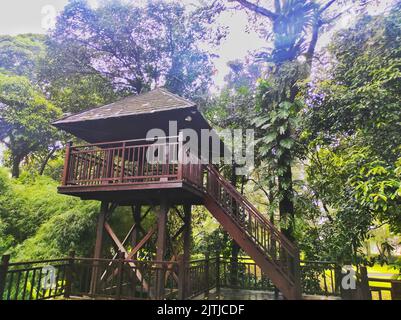 Ein wunderschöner Pavillon versteckt in der Ecke eines Hinterhofs, Terrasse aus Holz. Das Deck ist mit einem Holztor mit Gitterdesign umgeben. Stockfoto
