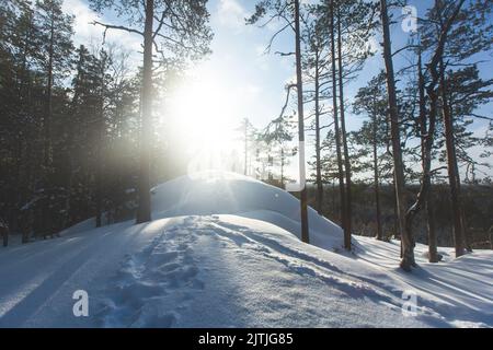Repovesi-Nationalpark, Luftaufnahme im Winter, Landschaftsansicht eines finnischen Parks, Südfinnland, Kouvola und Mantyharju, Region Kymenlaakso, mit einem Stockfoto