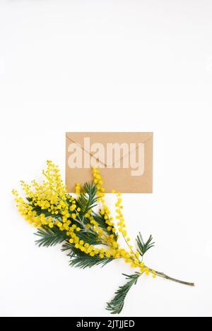Zweige einer schönen Mimosenblume neben einem handgefertigen Umschlag auf weißem Hintergrund Stockfoto
