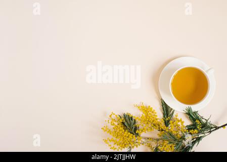 Zweig der Mimose und eine weiße Tasse Tee auf einer Untertasse. Frühstück am Morgen in einem Landhaus mit einem Kopierplatz. Flach liegend Stockfoto