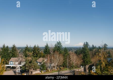 Wunderschöne Landschaft mit Blick auf den Vulkan Rainier von Olympia Stockfoto