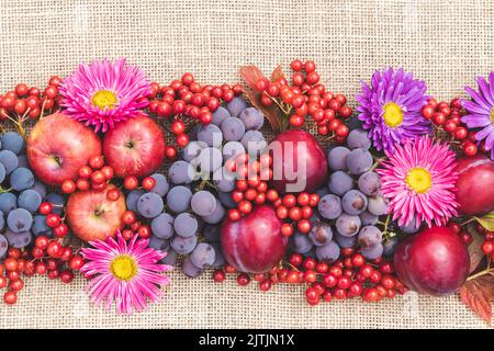 Reife rote Früchte und Beeren mit Quappen auf dem Tisch. Stillleben, flach liegend, Draufsicht. Festliche schöne Herbst Hintergrund, Thanksgiving Tag Stockfoto