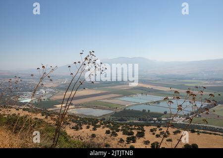 Trockene Vegetation mit landwirtschaftlichen Feldern im Hintergrund. mt. Hermon im Hintergrund. Stockfoto