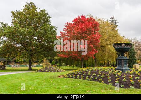 Einen malerischen Blick auf den bunten Herbst Bäume im Tal Gärten in Harrogate, England, Großbritannien Stockfoto