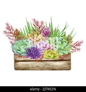 Aquarell Sukkulenten, grüner Strauß, Zimmerpflanzen Illustration, botanische Malerei. Stockfoto