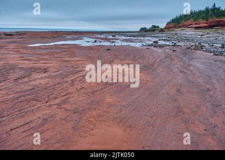 Die Oberfläche der Bay of Fundy, wie sie bei Ebbe im Burntcoat Head Park in Nova Scotia, Kanada, zu sehen ist. Stockfoto